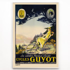 Ciclos Guyot