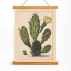 Cactus de poire en fleur