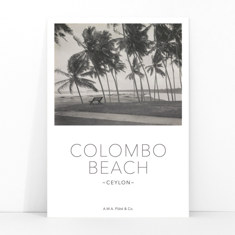 Colombo Beach in Ceylon