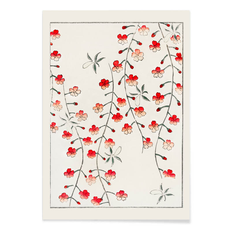 Flor de cerejeira de Bijutsu Sekai