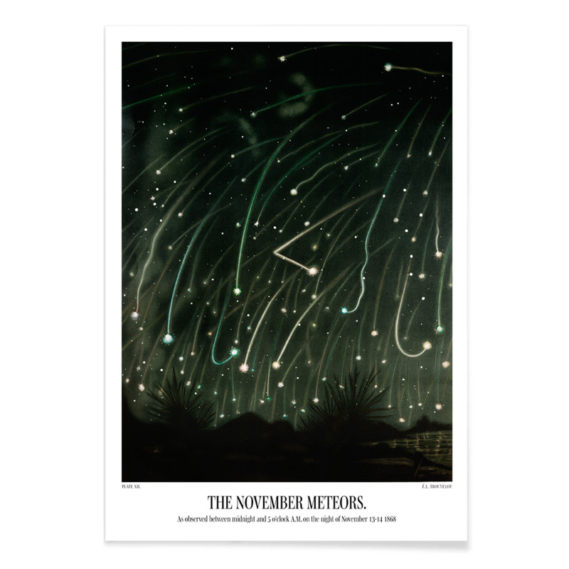The November meteors