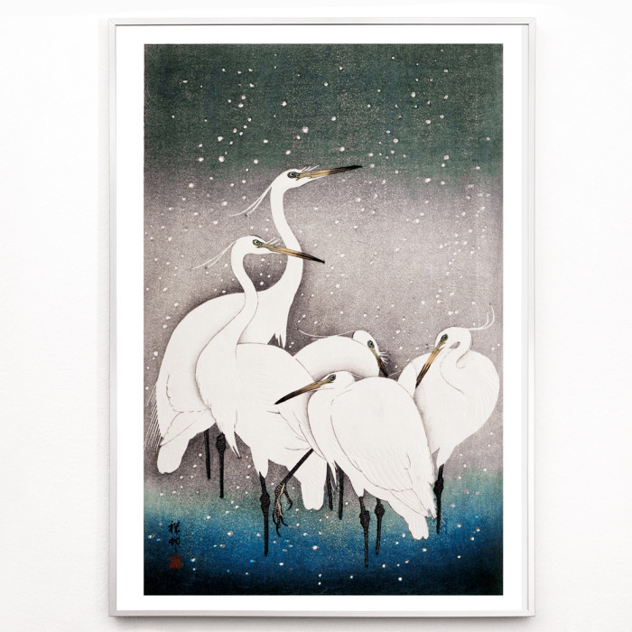 Group of Egrets