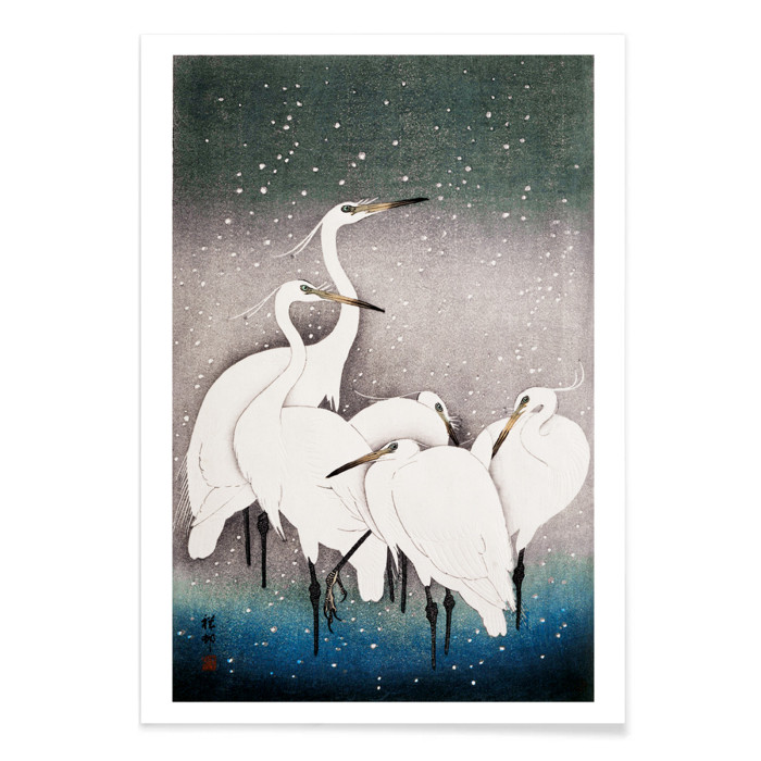 Group of Egrets