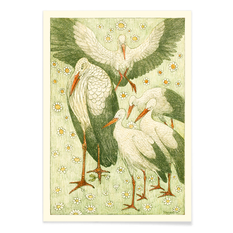 Five storks in a meadow