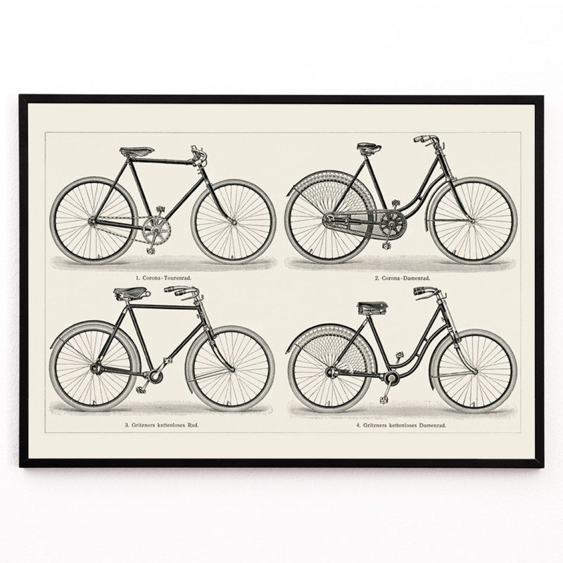 bicicletas 1