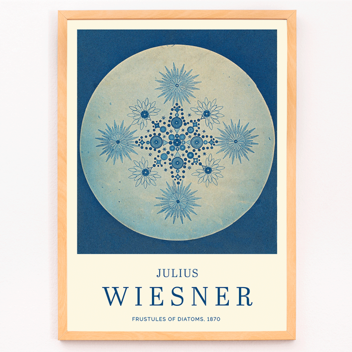 Poster of Frustules of Diatoms by Julius Wiesner featuring intricate blue diatom designs on a circular background