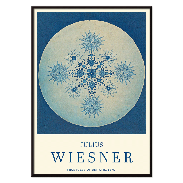 Poster of Frustules of Diatoms by Julius Wiesner featuring intricate blue diatom designs on a circular background